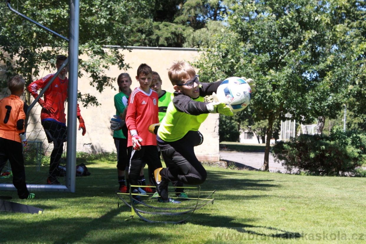 BFŠJCH - Léto 2018 - Sobota