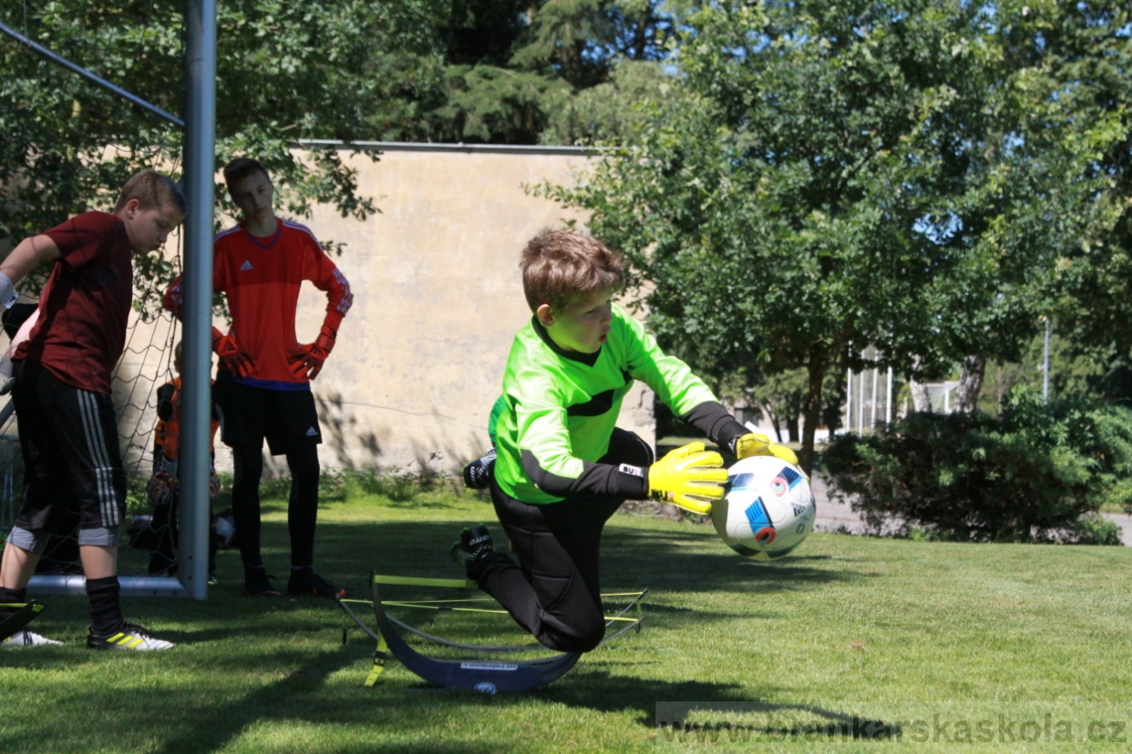 BFŠJCH - Léto 2018 - Sobota