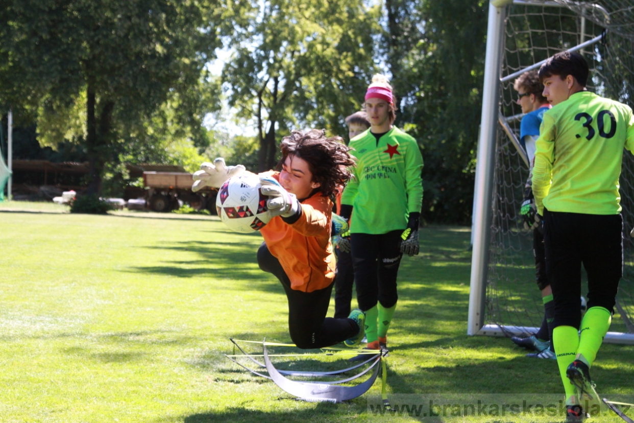 BFŠJCH - Léto 2018 - Sobota