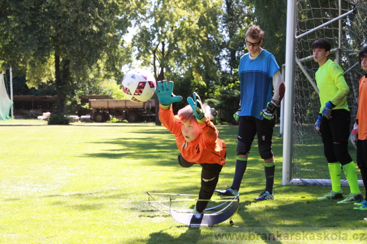 BFŠJCH - Léto 2018 - Sobota