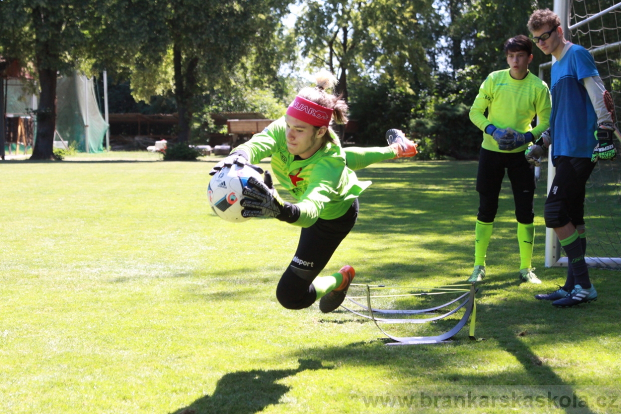BFŠJCH - Léto 2018 - Sobota