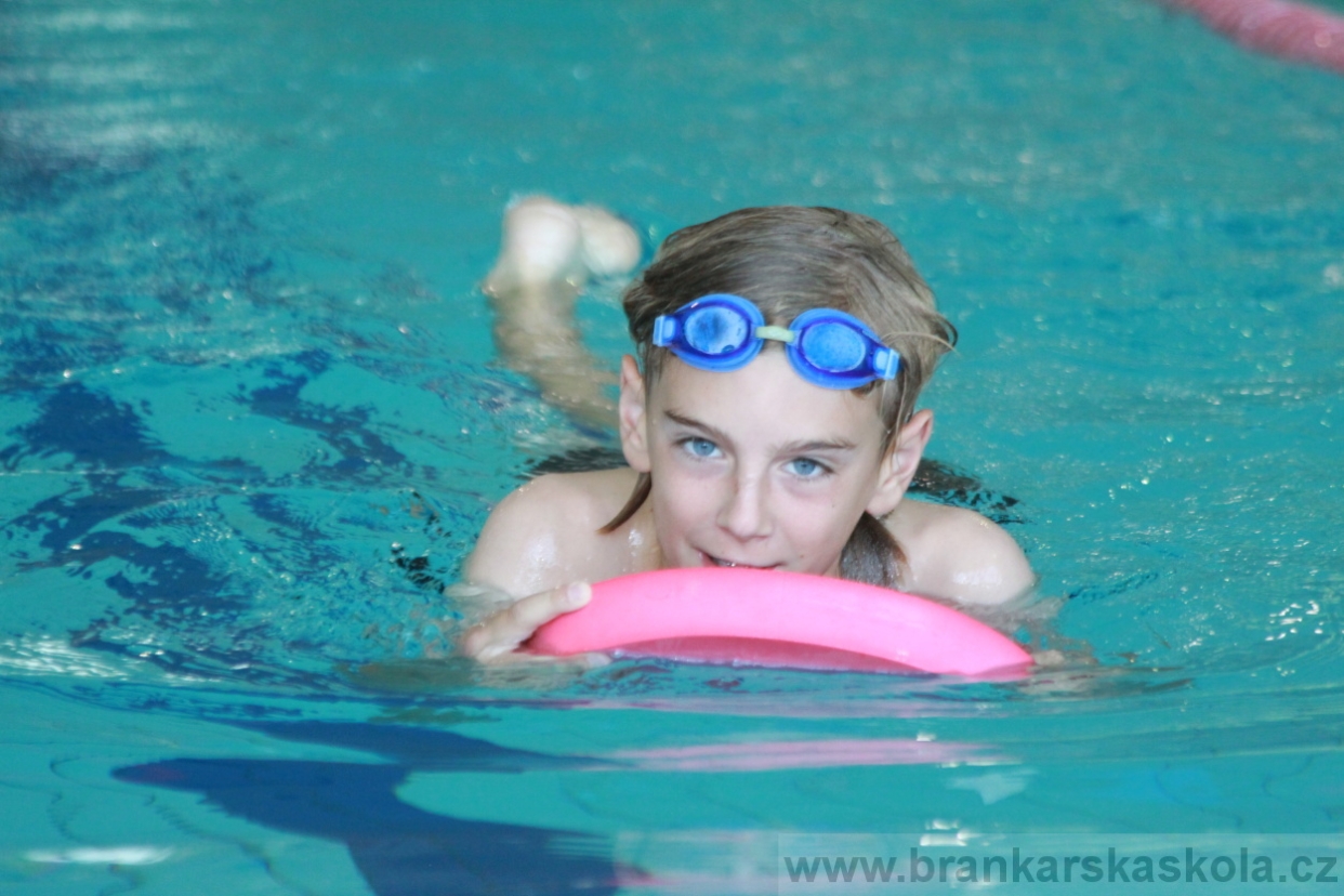 BFŠJCH - Léto 2018 - Sobota