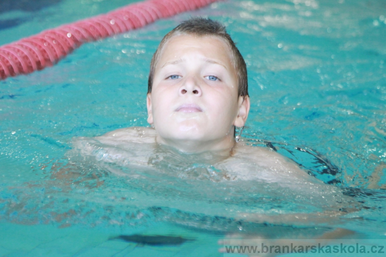 BFŠJCH - Léto 2018 - Sobota