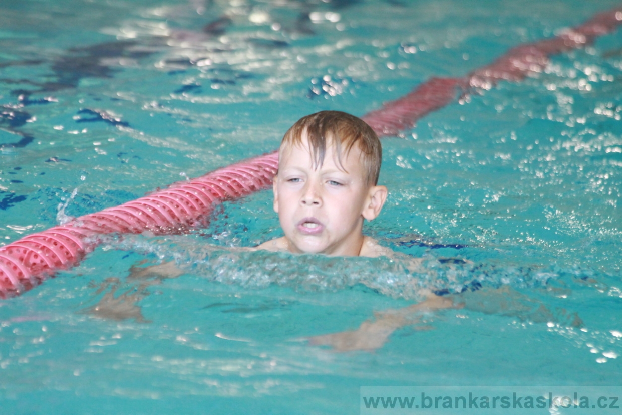 BFŠJCH - Léto 2018 - Sobota