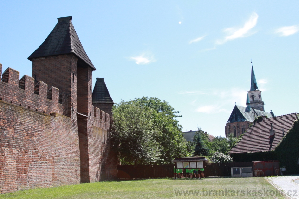 BFŠJCH - Léto 2018 - Sobota