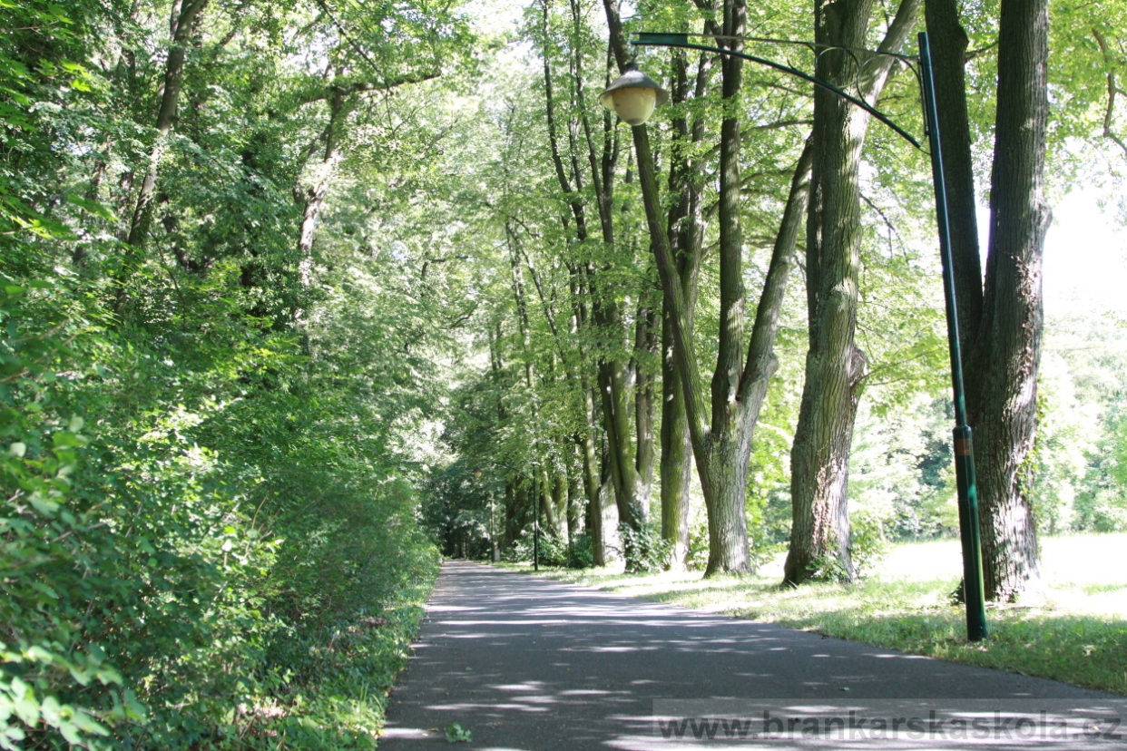 BFŠJCH - Léto 2018 - Sobota