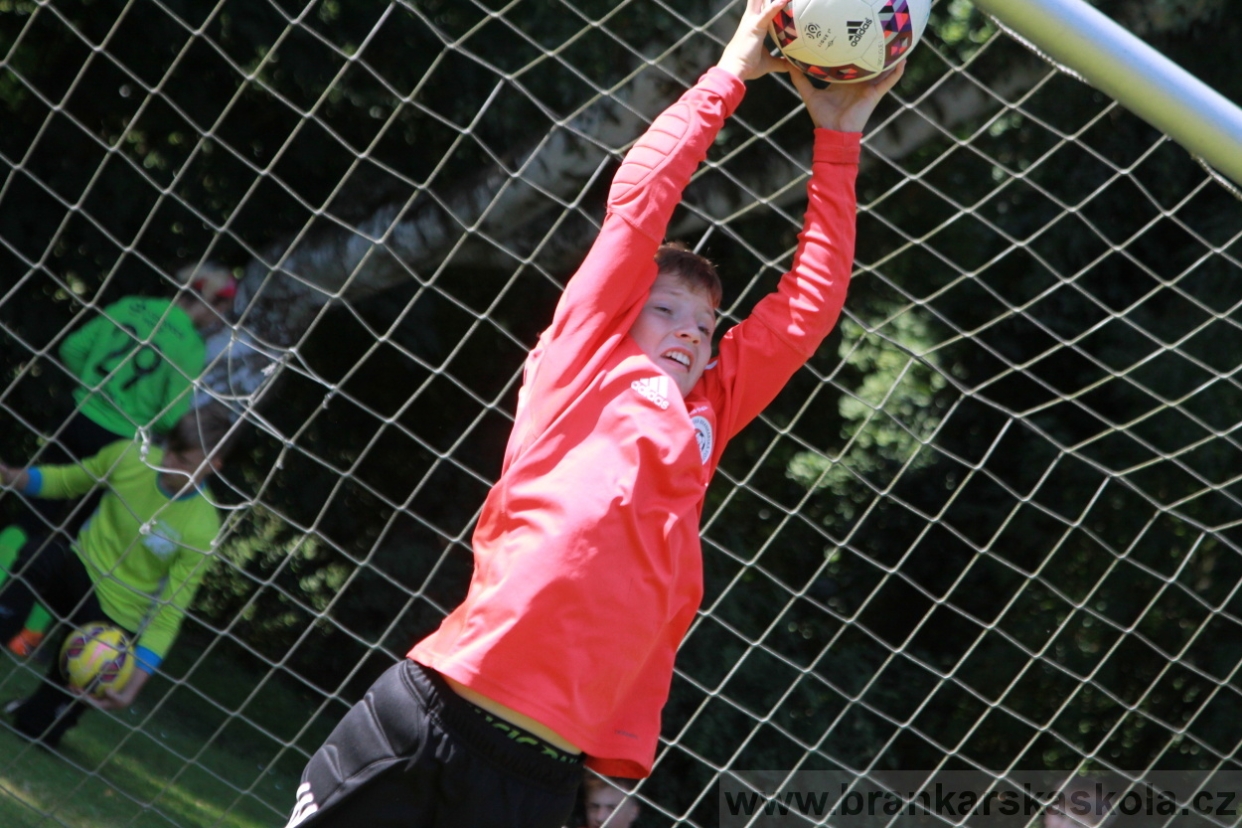 BFŠJCH - Léto 2018 - Neděle