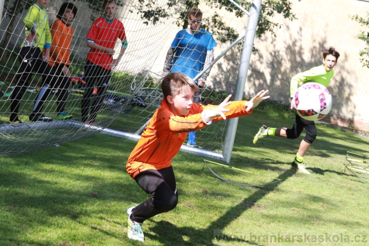 BFŠJCH - Léto 2018 - Neděle