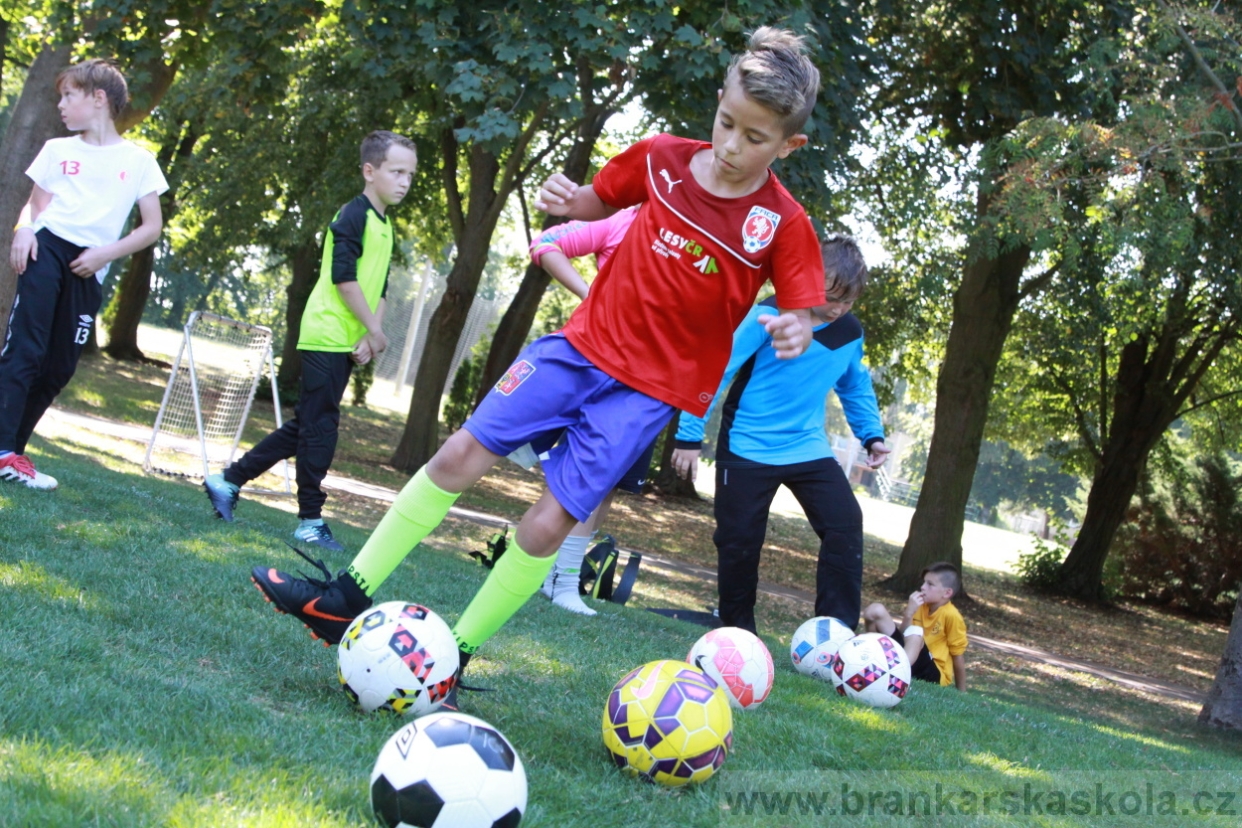 BFŠJCH - Léto 2018 - 2. turnus - Úterý