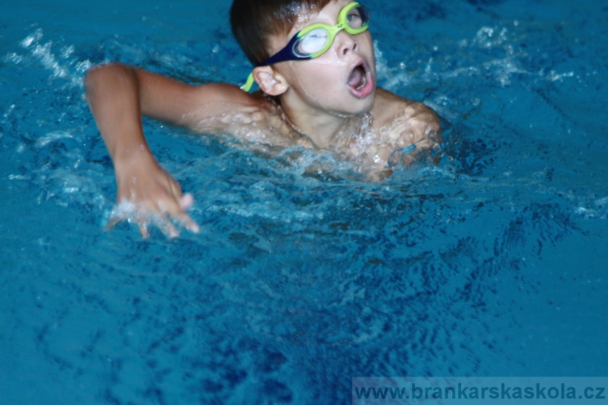 BFŠJCH - Léto 2018 - 2. turnus - Úterý