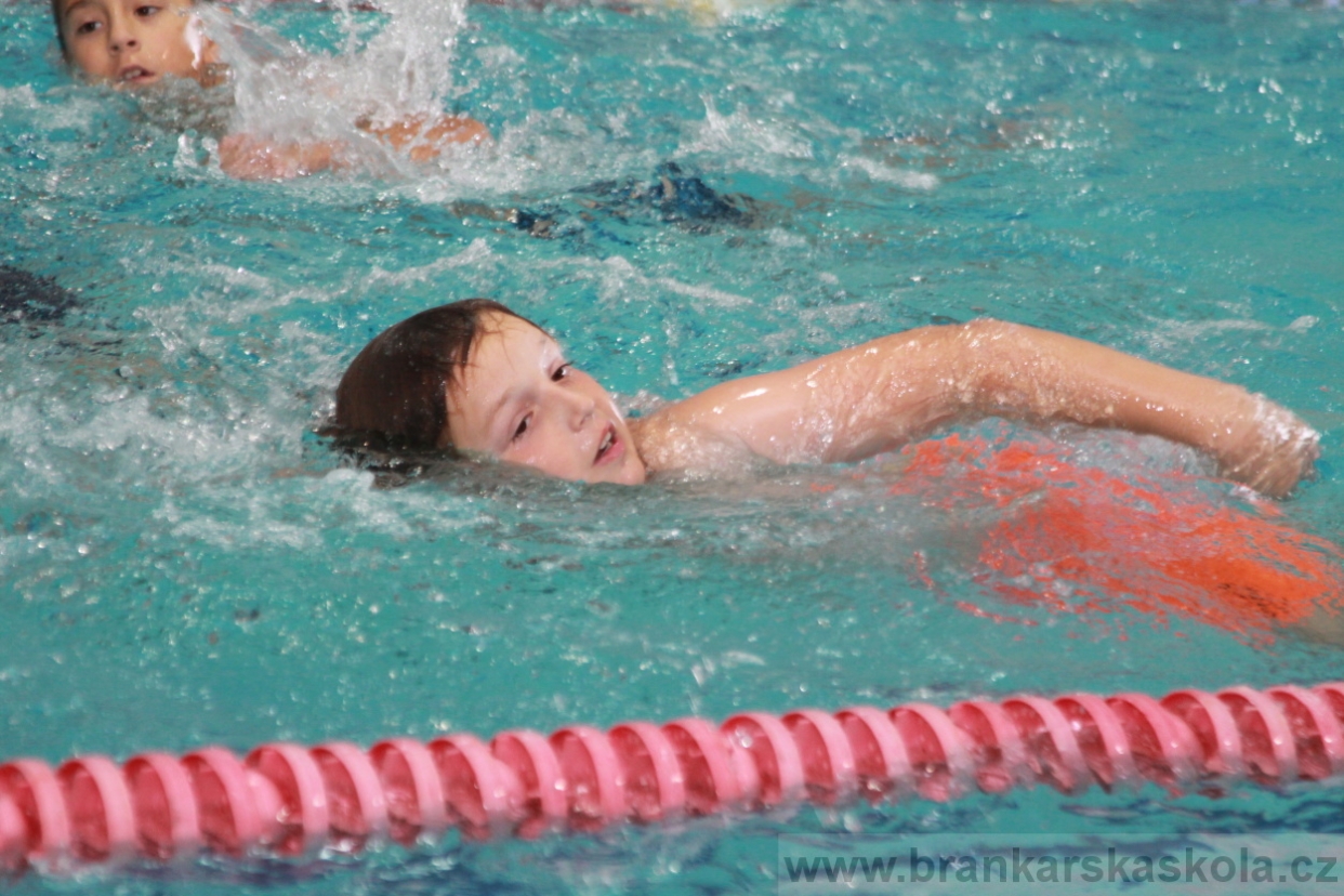 BFŠJCH - Léto 2018 - 2. turnus - Sobota