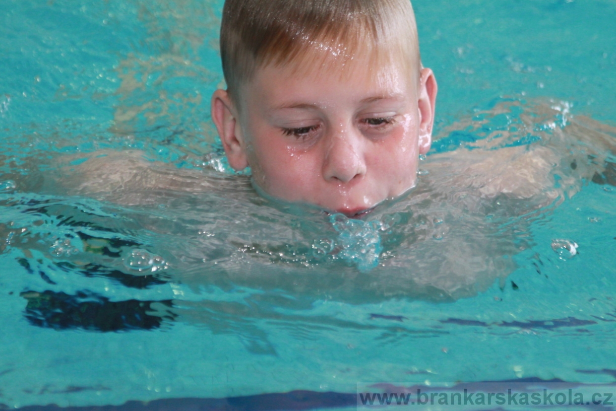 BFŠJCH - Léto 2018 - 2. turnus - Neděle