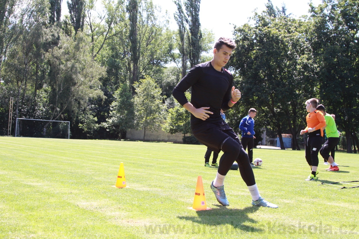 BFŠJCH - Léto 2019 - 2.7.2019