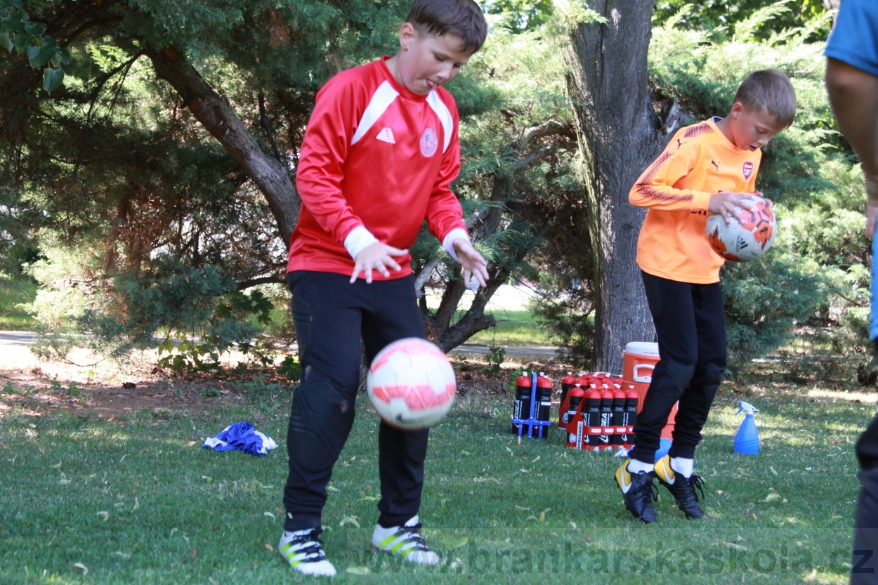 BFŠJCH - Léto 2019 - 2.7.2019