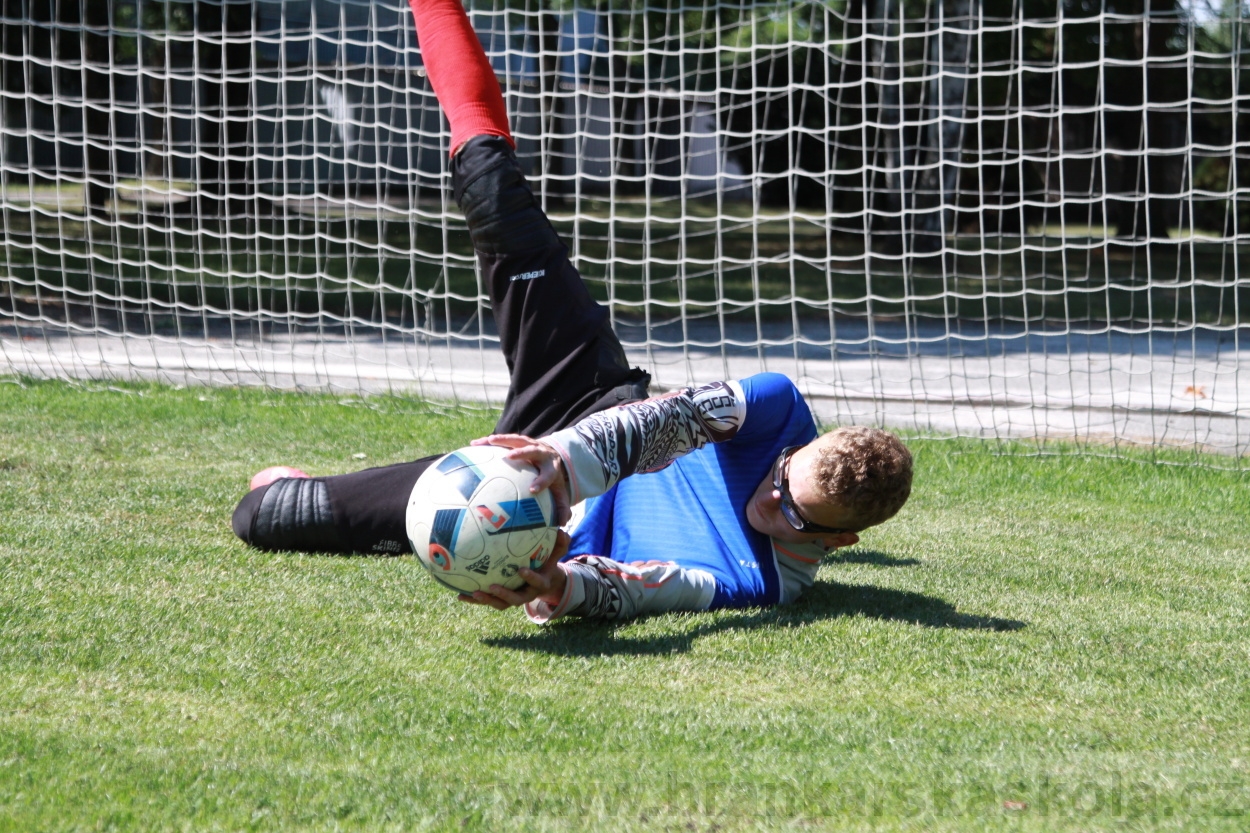 BFŠJCH - Léto 2019 - 2.7.2019