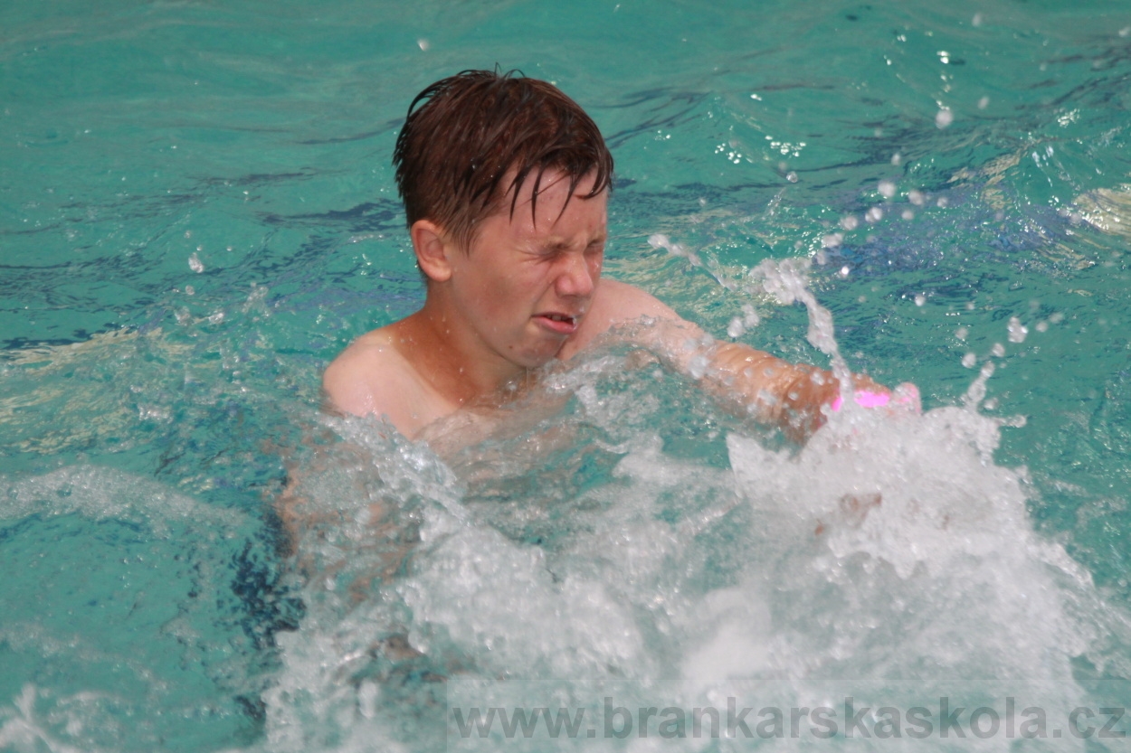 BFŠJCH - Léto 2019 - 2.7.2019