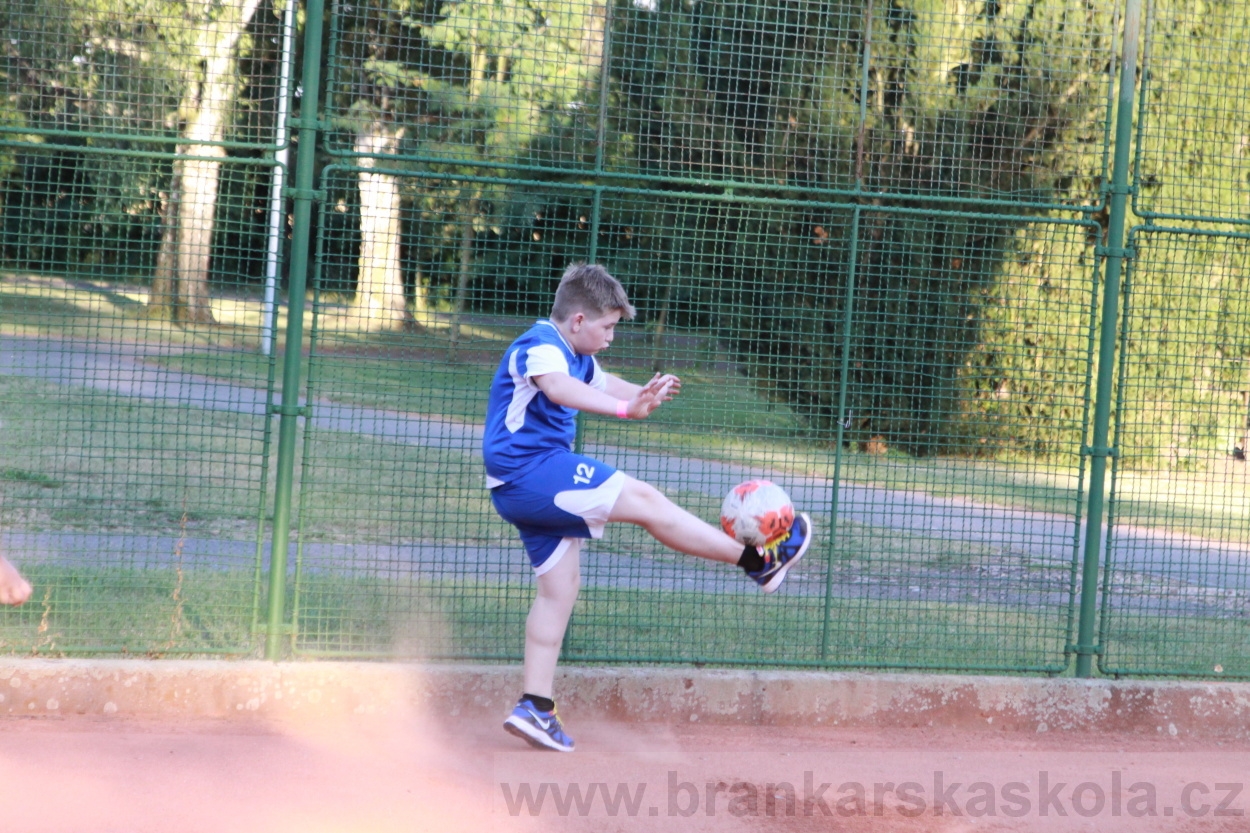 BFŠJCH - Léto 2019 - 2.7.2019