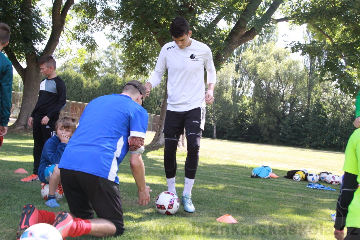 BFŠJCH - Léto 2019 - 3.7.2019