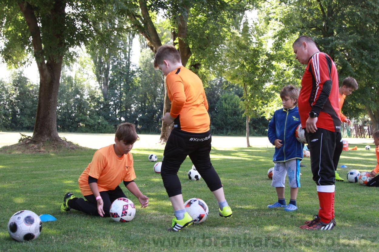 BFŠJCH - Léto 2019 - 3.7.2019