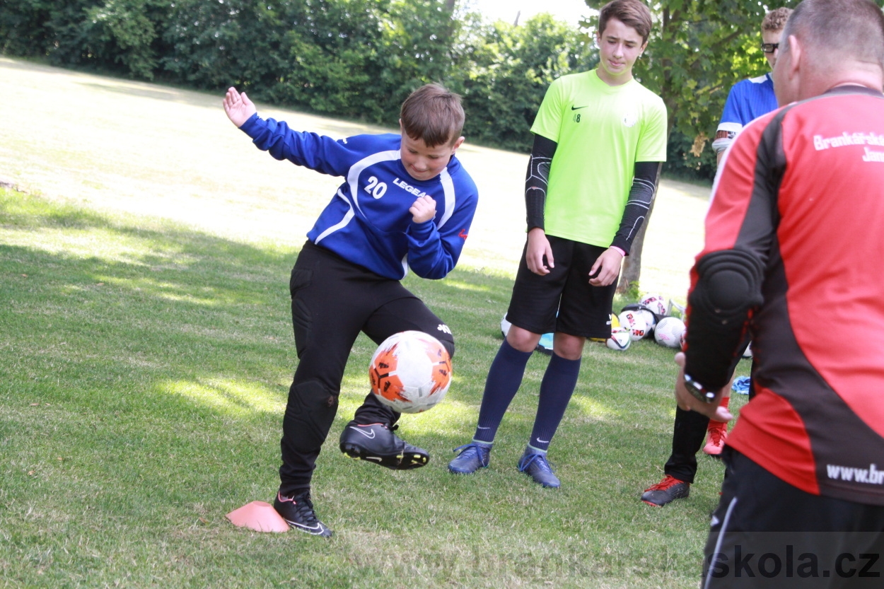 BFŠJCH - Léto 2019 - 3.7.2019