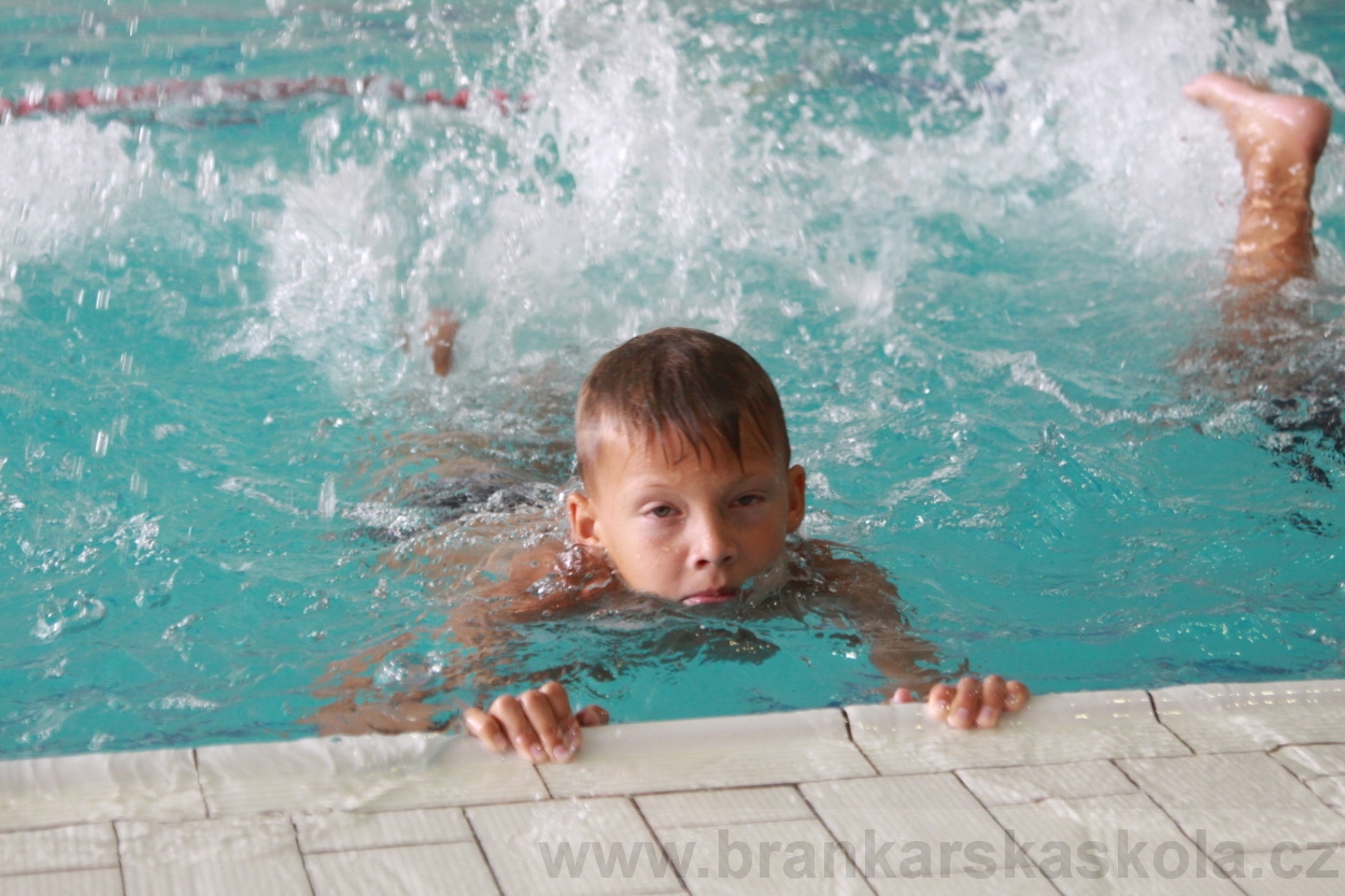 BFŠJCH - Léto 2019 - 3.7.2019