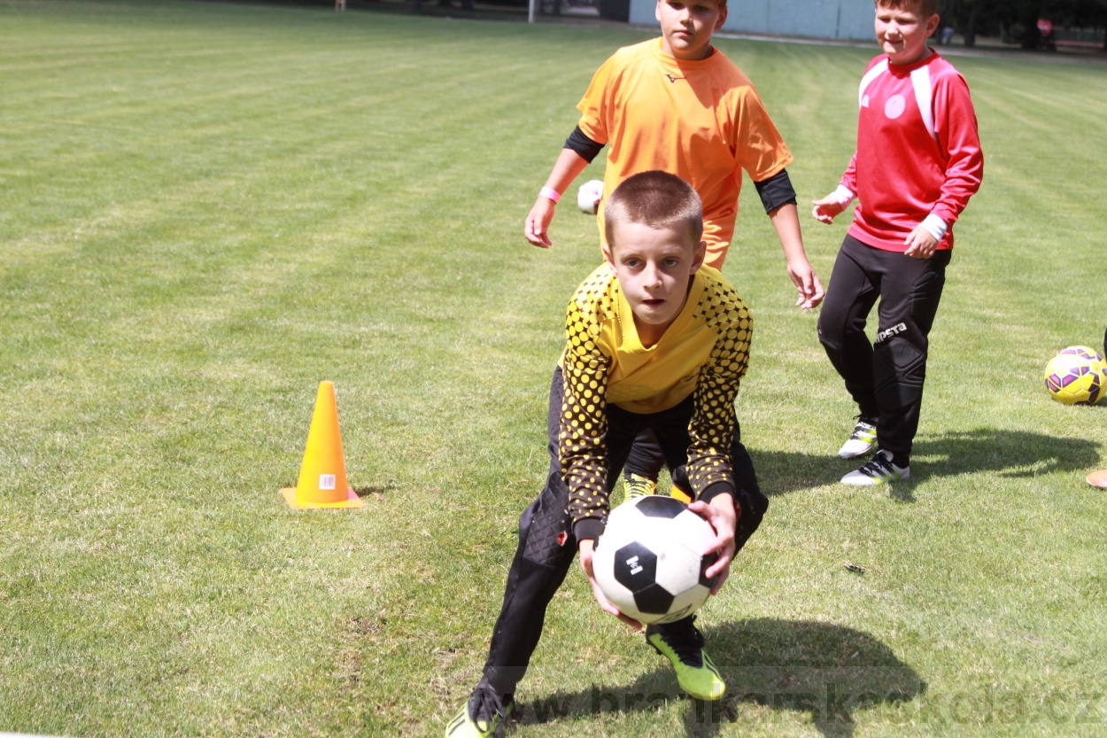 BFŠJCH - Léto 2019 - 3.7.2019