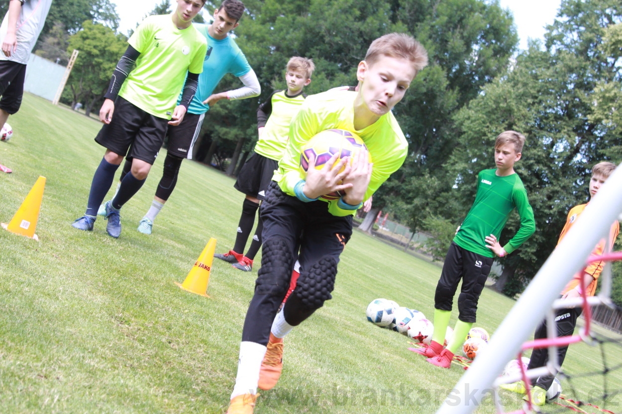 BFŠJCH - Léto 2019 - 3.7.2019