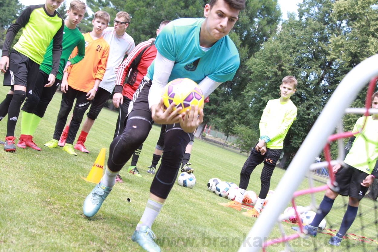 BFŠJCH - Léto 2019 - 3.7.2019