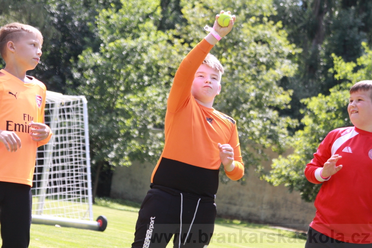 BFŠJCH - Léto 2019 - 3.7.2019