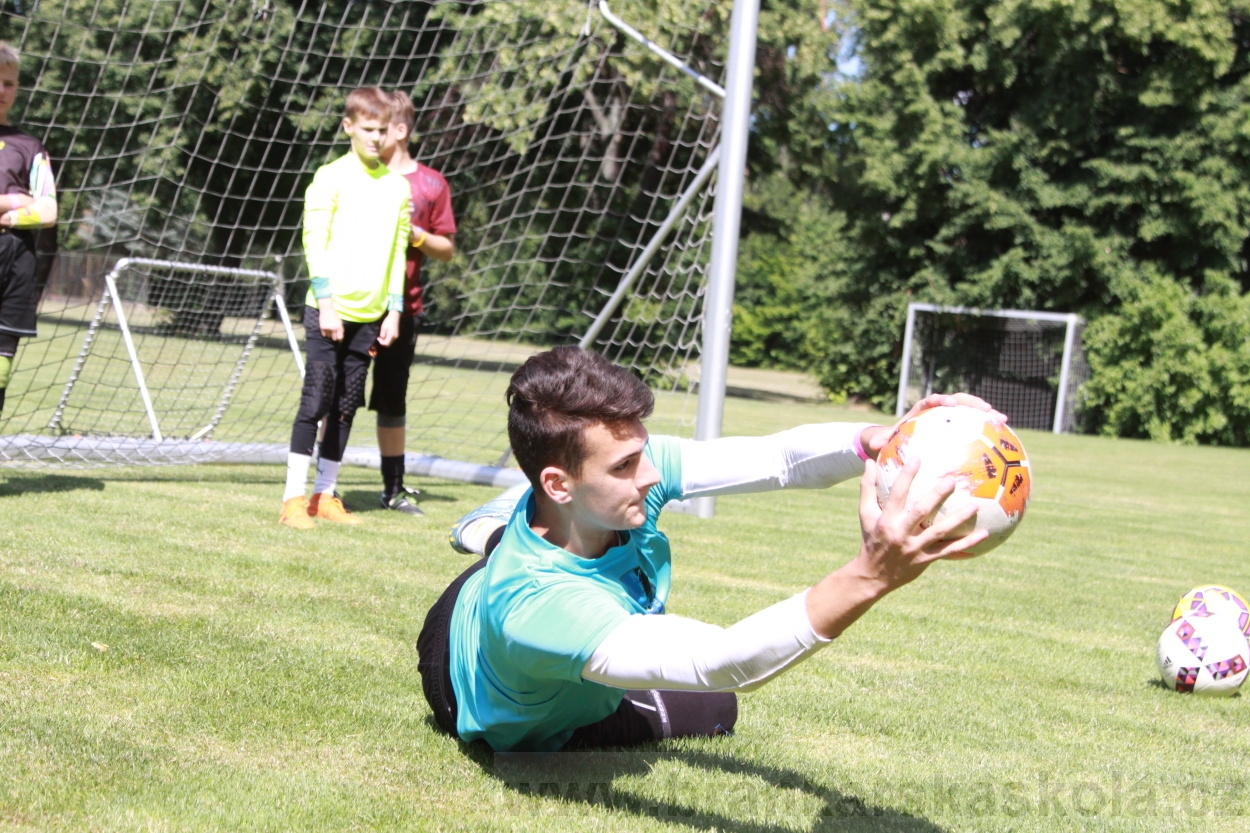 BFŠJCH - Léto 2019 - 3.7.2019