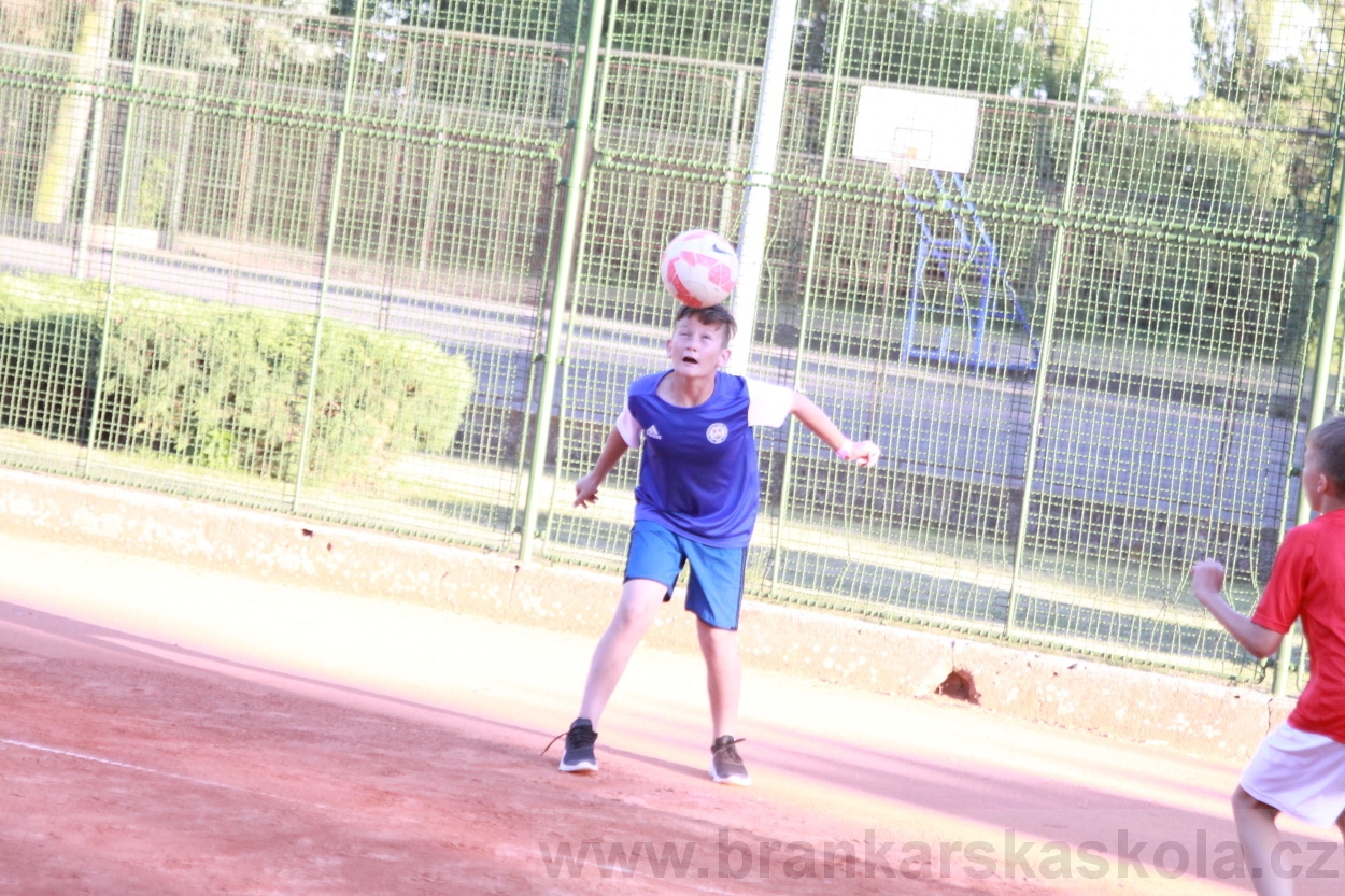 BFŠJCH - Léto 2019 - 3.7.2019