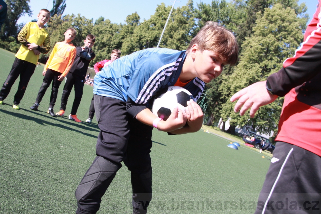 BFŠJCH - Léto 2019 - 4.7.2019