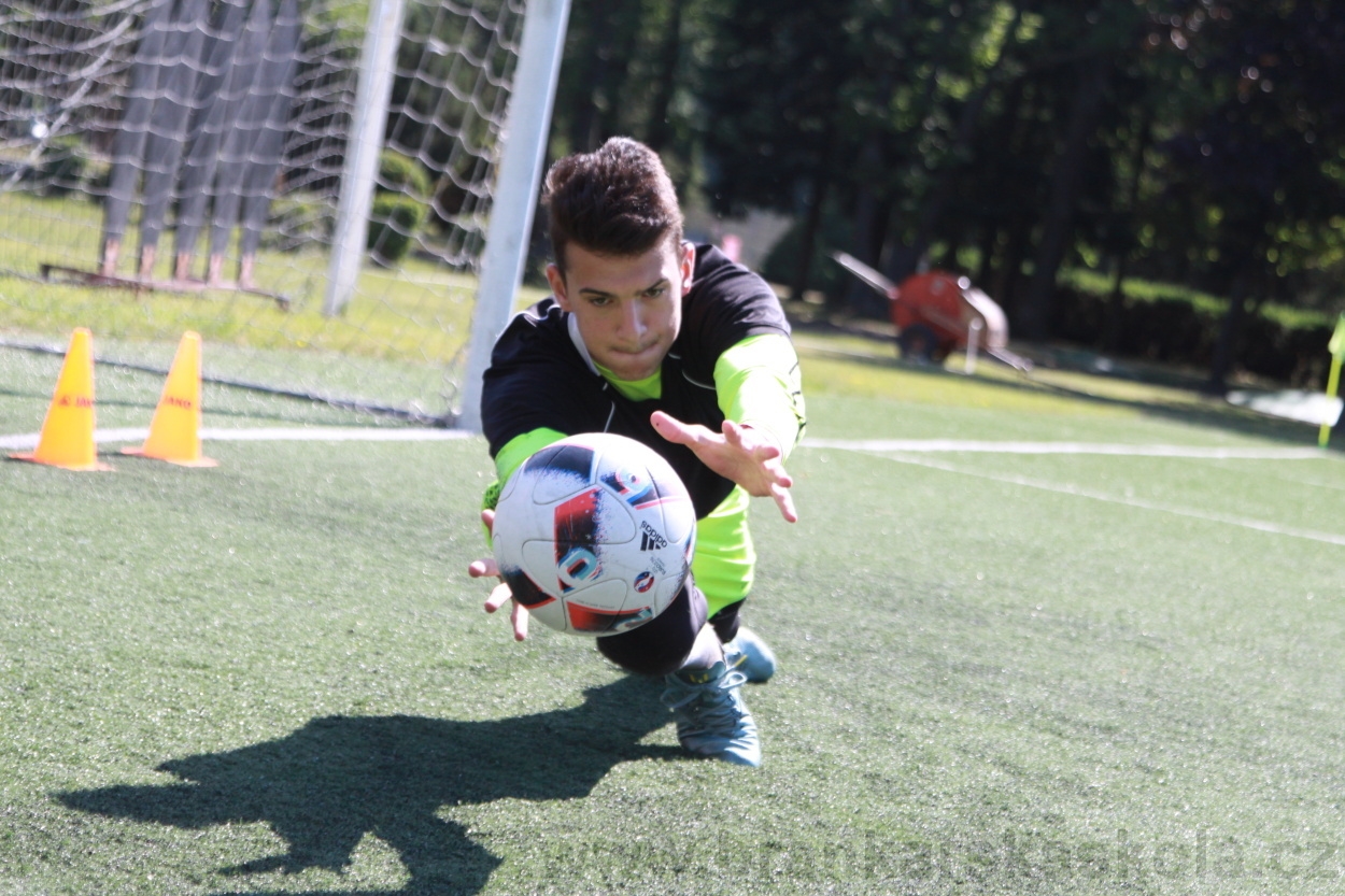 BFŠJCH - Léto 2019 - 4.7.2019