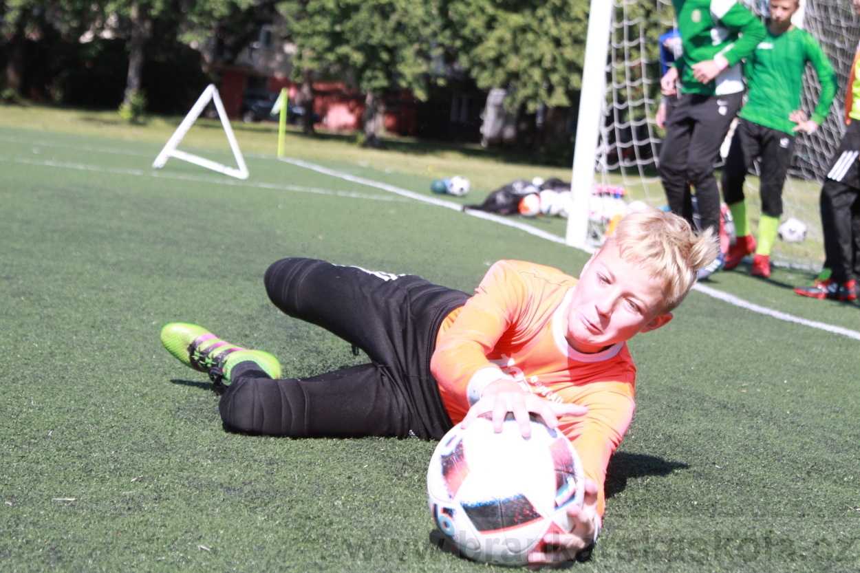 BFŠJCH - Léto 2019 - 4.7.2019