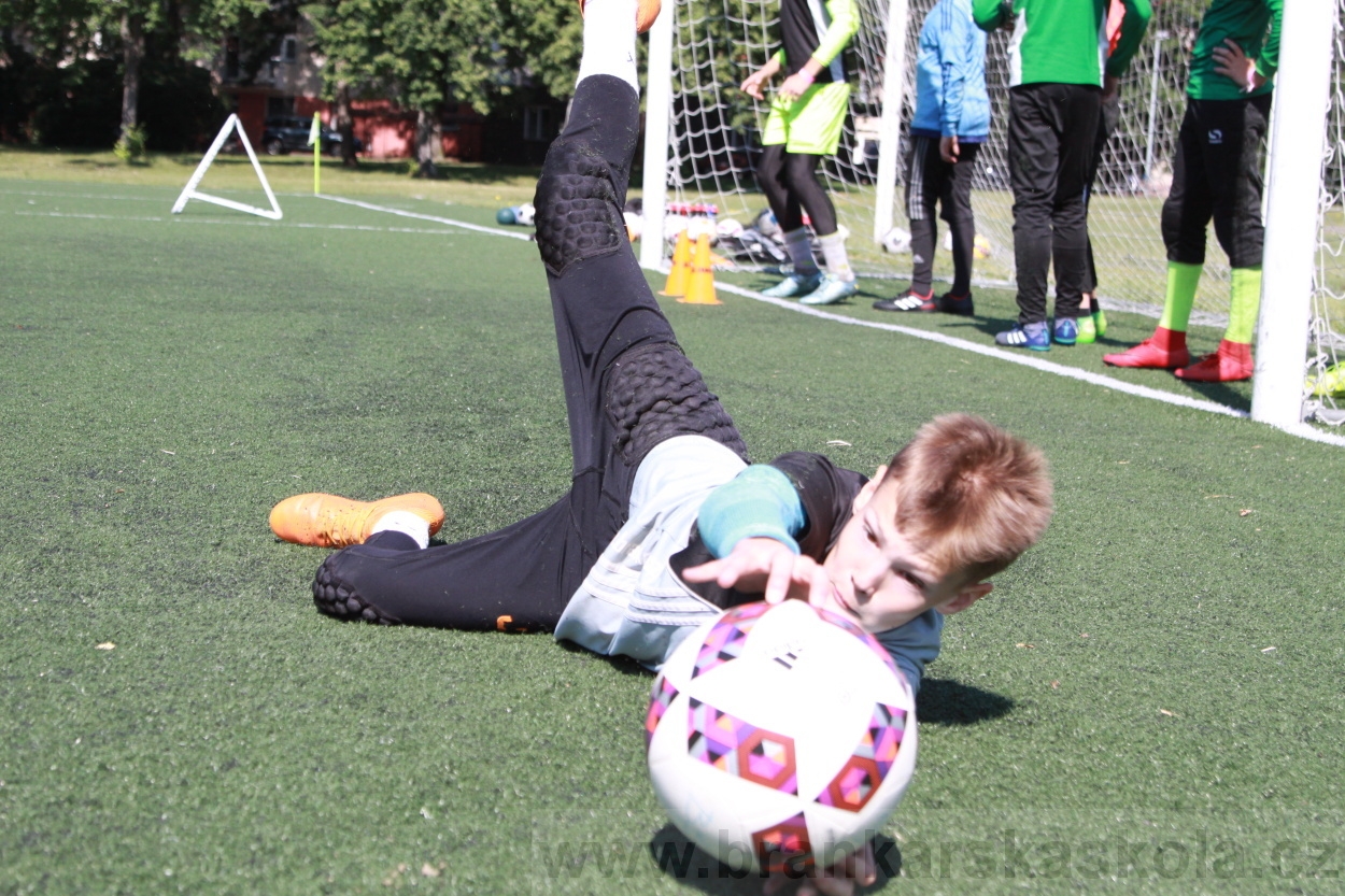 BFŠJCH - Léto 2019 - 4.7.2019