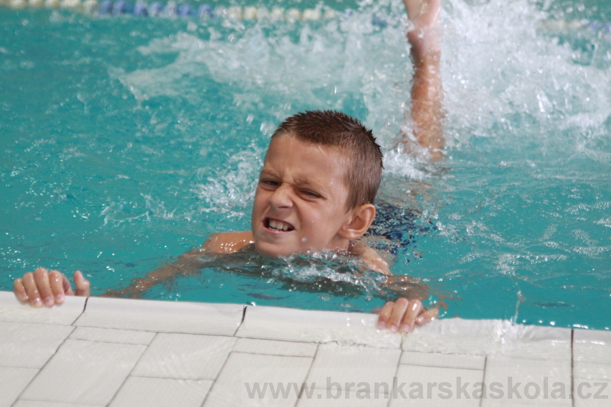 BFŠJCH - Léto 2019 - 4.7.2019