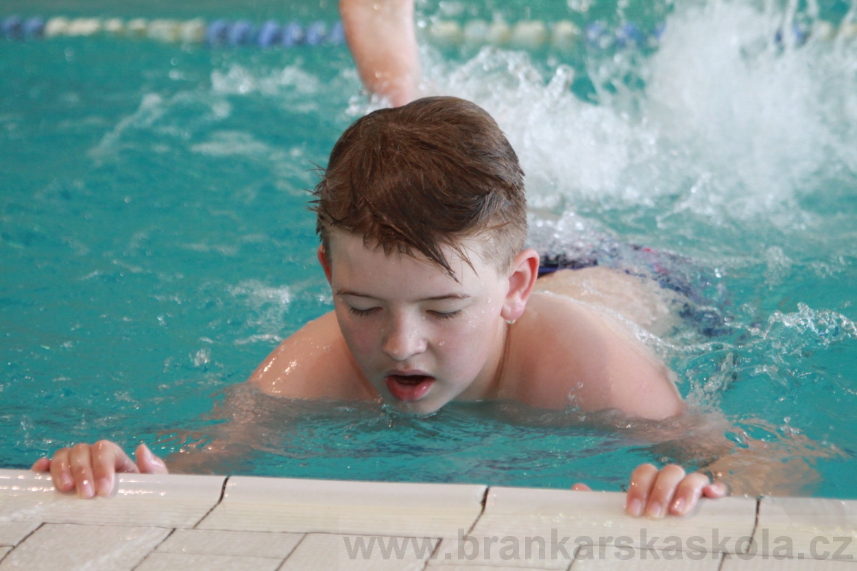 BFŠJCH - Léto 2019 - 4.7.2019