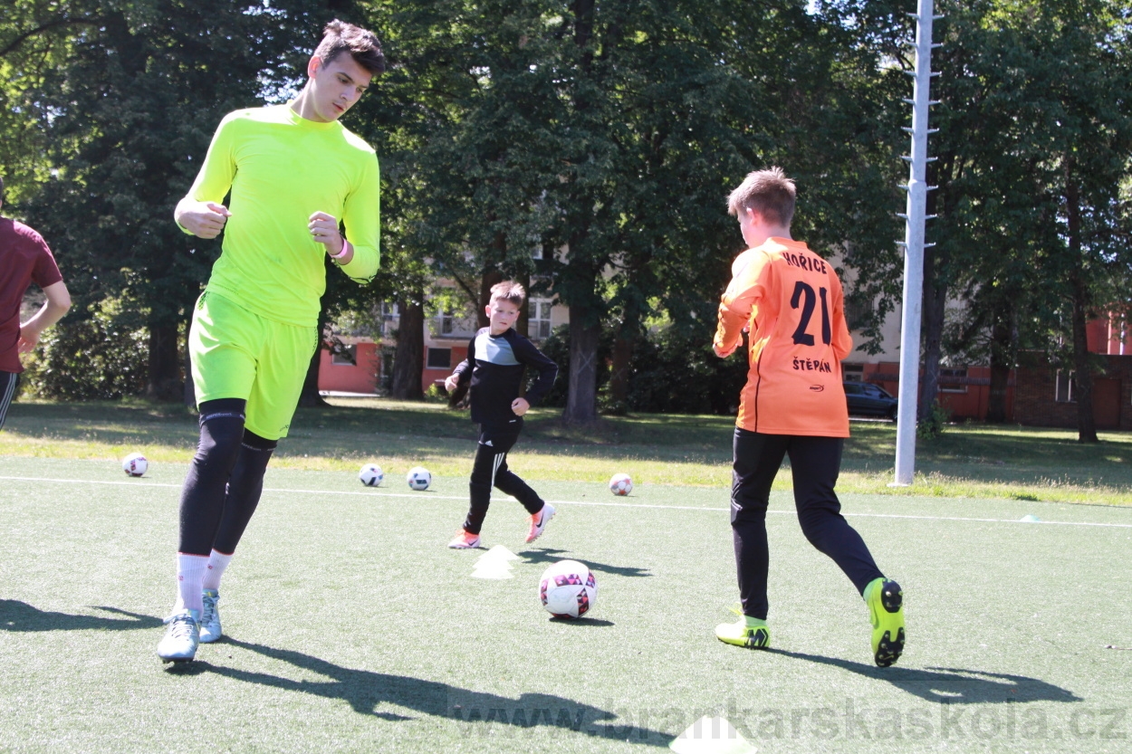 BFŠJCH - Léto 2019 - 4.7.2019