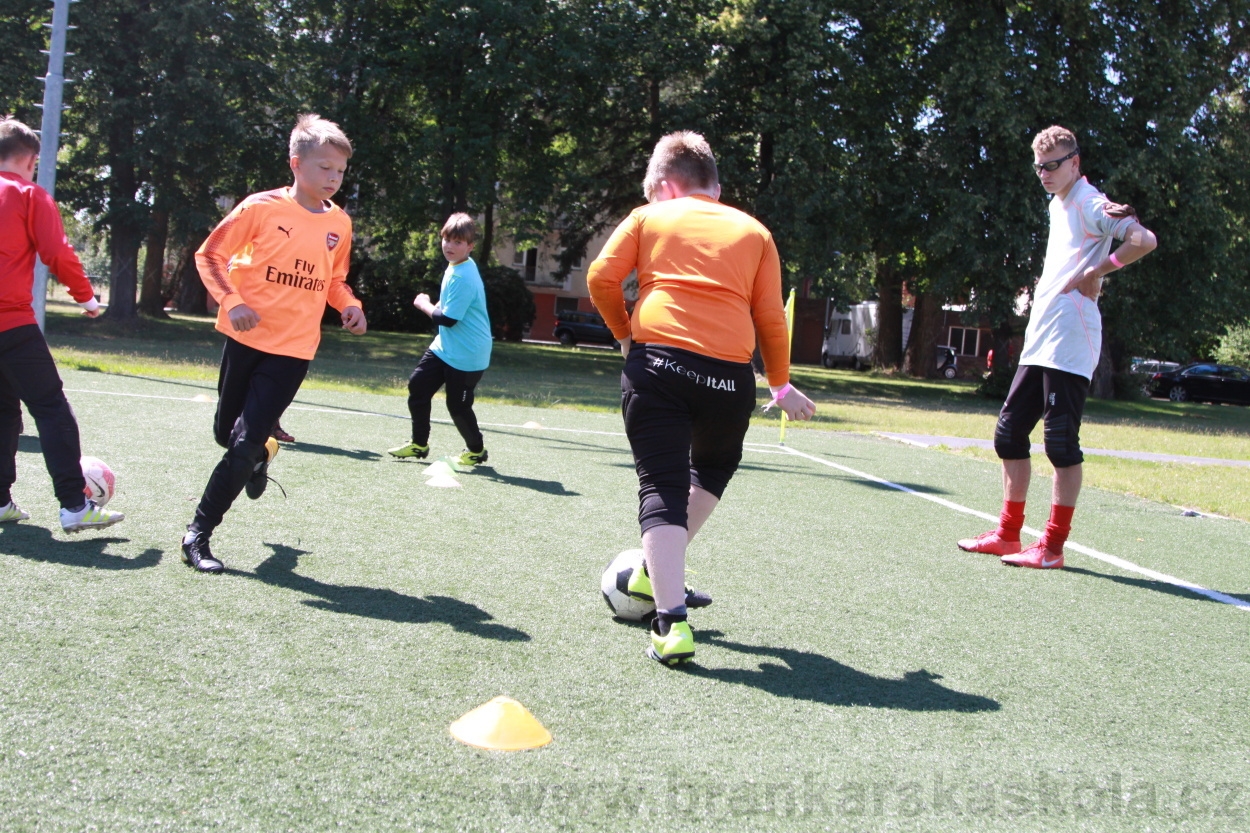 BFŠJCH - Léto 2019 - 4.7.2019