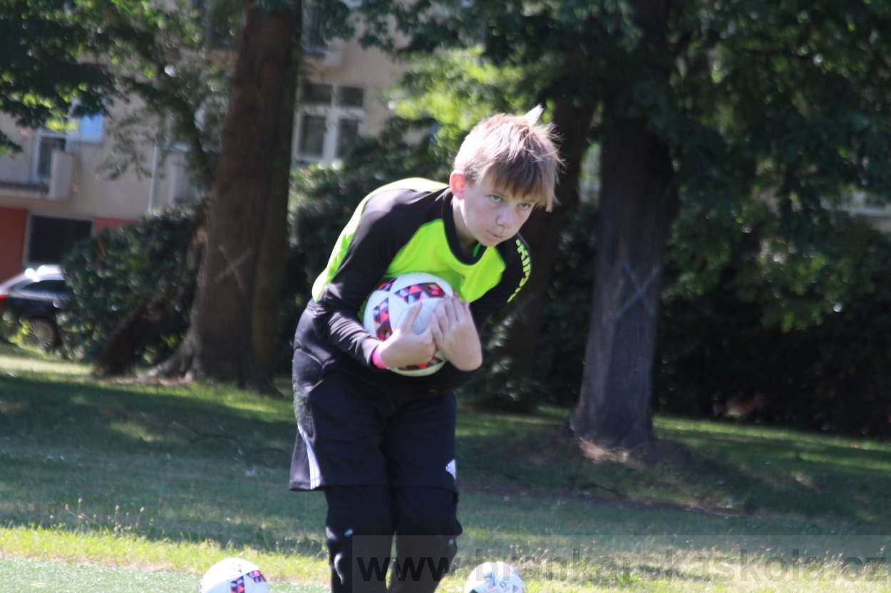 BFŠJCH - Léto 2019 - 4.7.2019