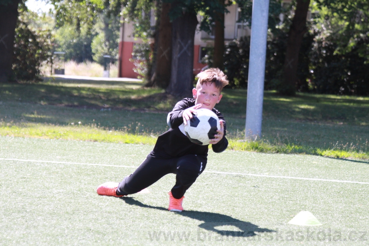 BFŠJCH - Léto 2019 - 4.7.2019