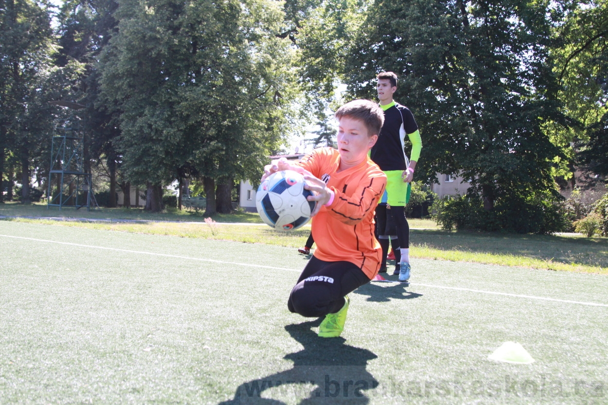 BFŠJCH - Léto 2019 - 4.7.2019