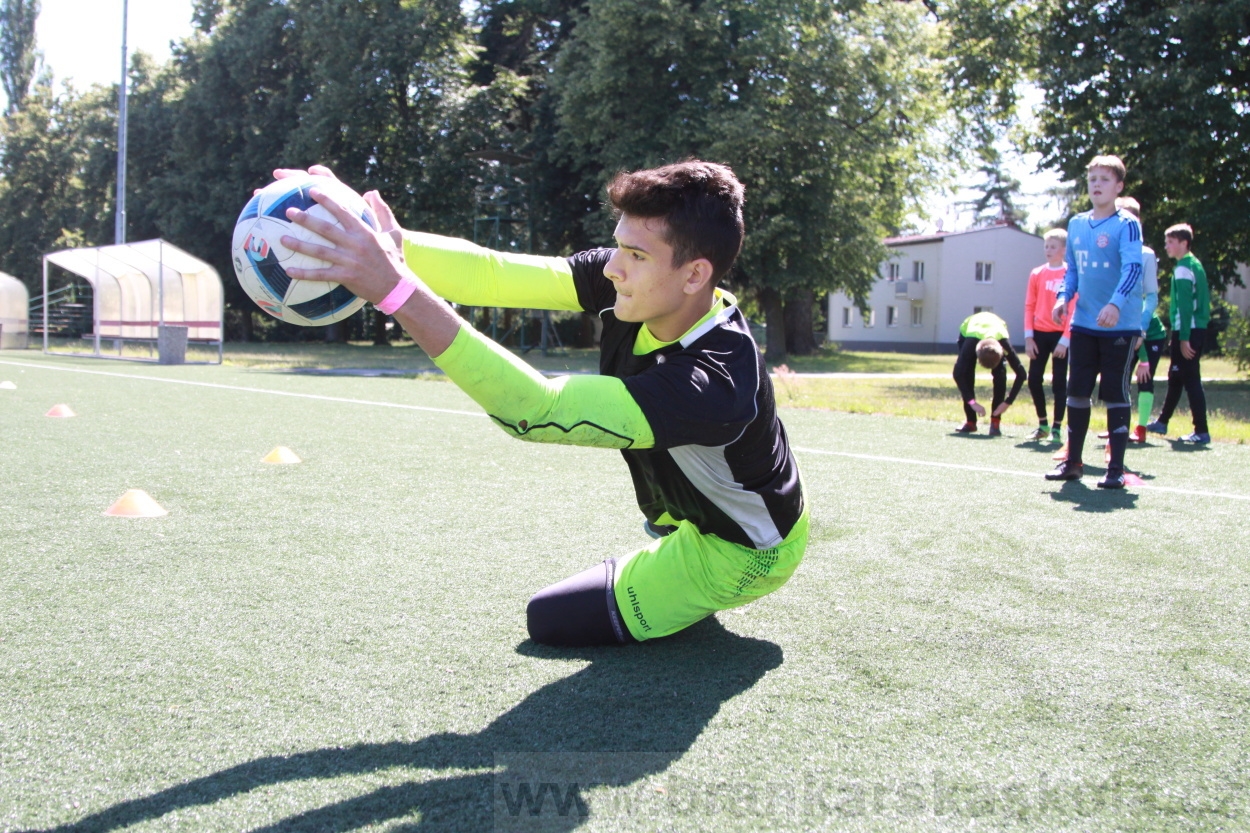 BFŠJCH - Léto 2019 - 4.7.2019