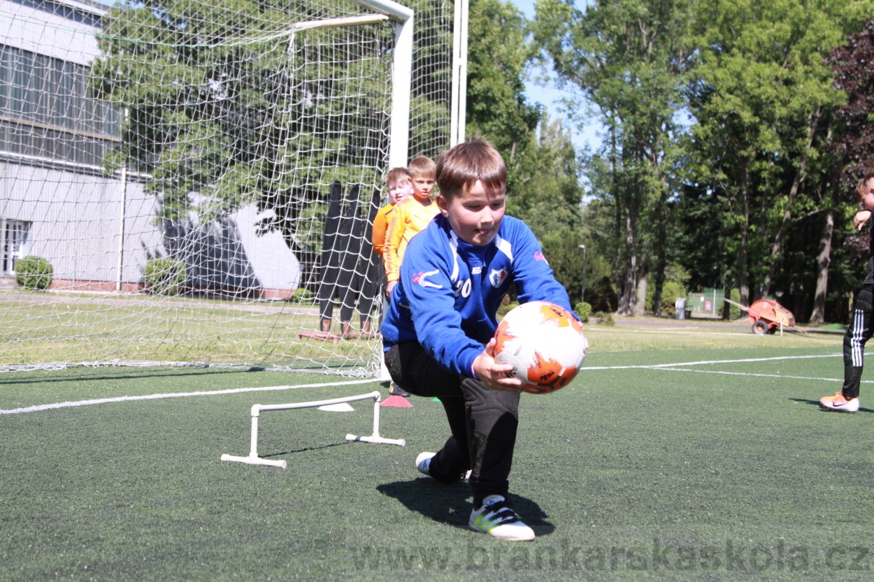 BFŠJCH - Léto 2019 - 4.7.2019