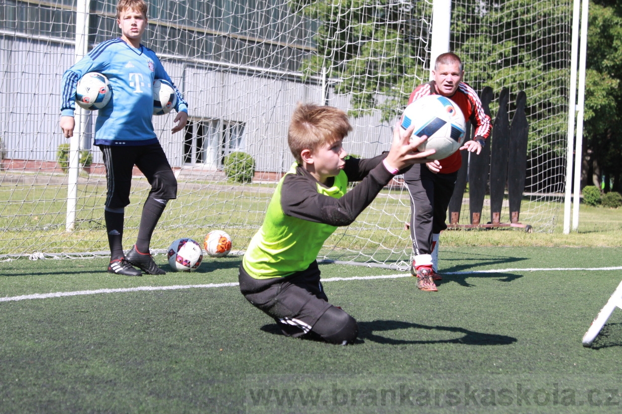 BFŠJCH - Léto 2019 - 4.7.2019