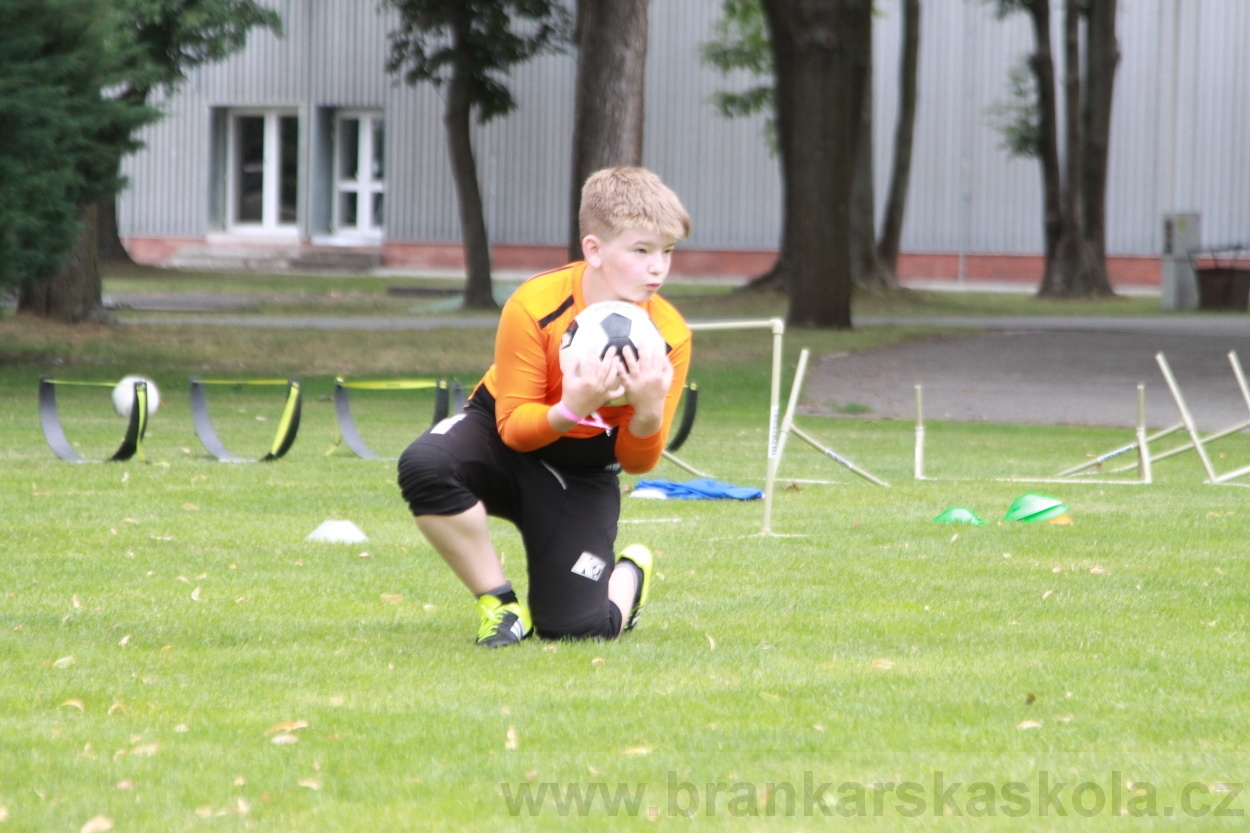 BFŠJCH - Léto 2019 - 5.7.2019