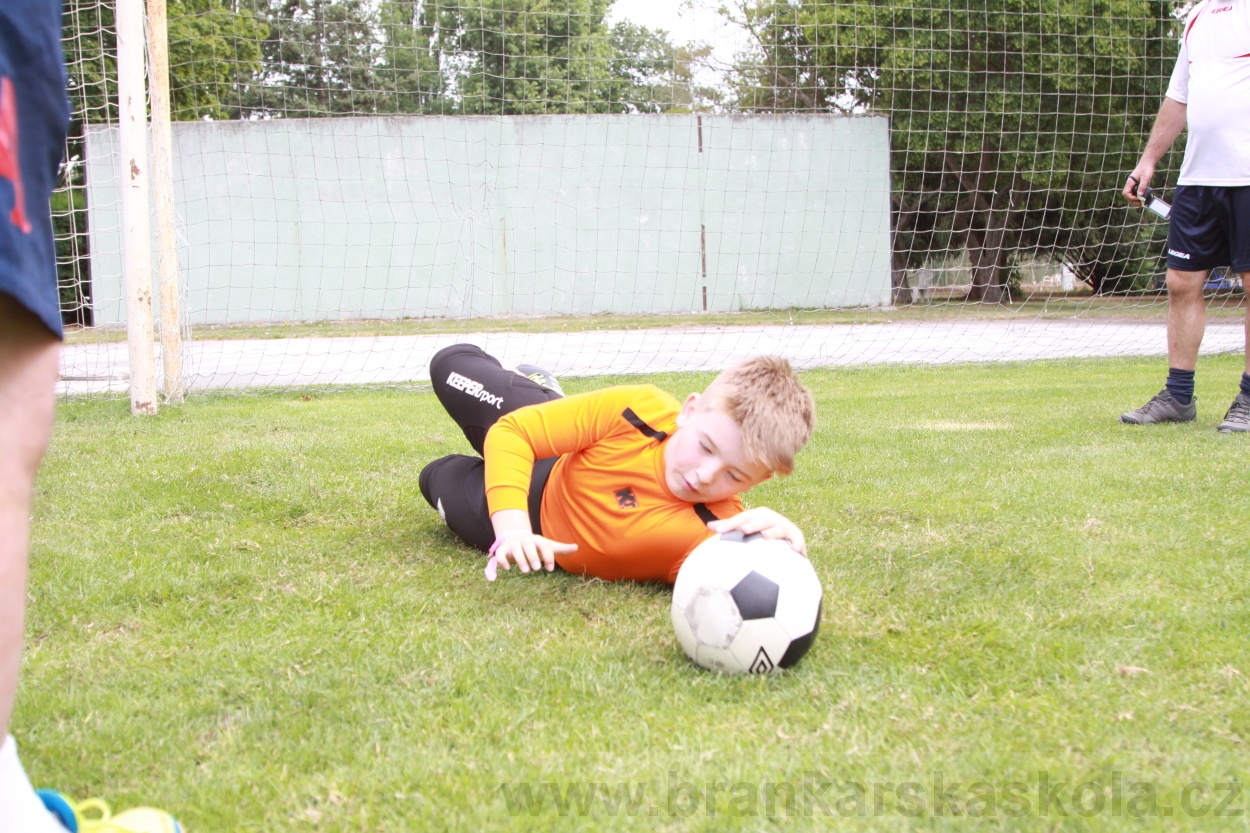 BFŠJCH - Léto 2019 - 5.7.2019