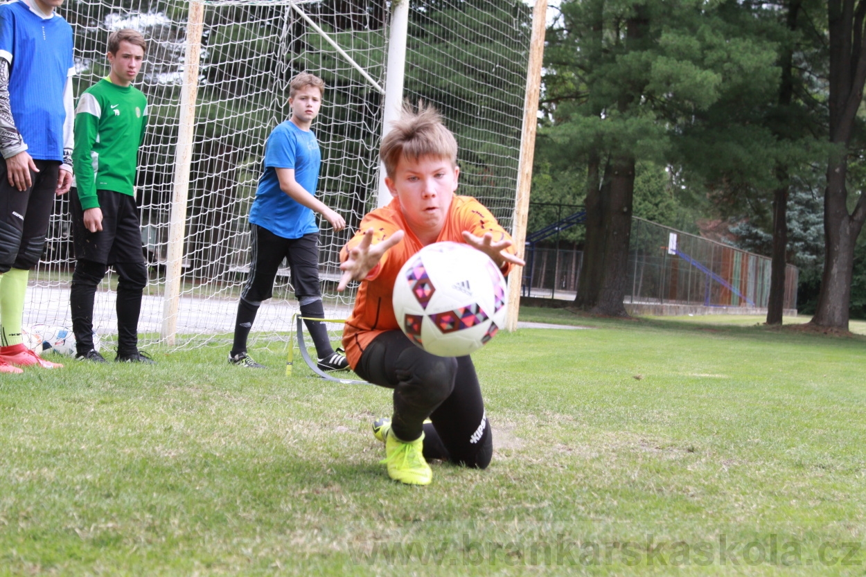 BFŠJCH - Léto 2019 - 5.7.2019