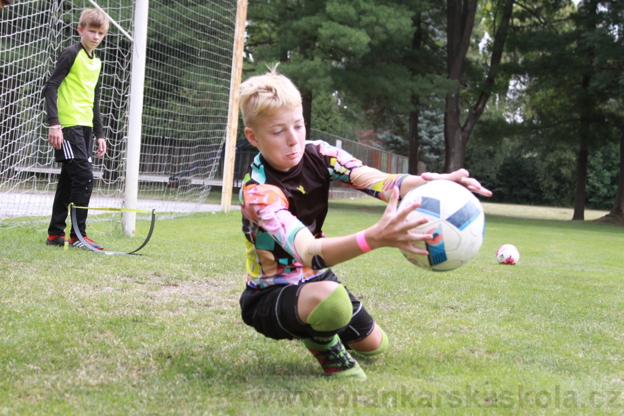 BFŠJCH - Léto 2019 - 5.7.2019