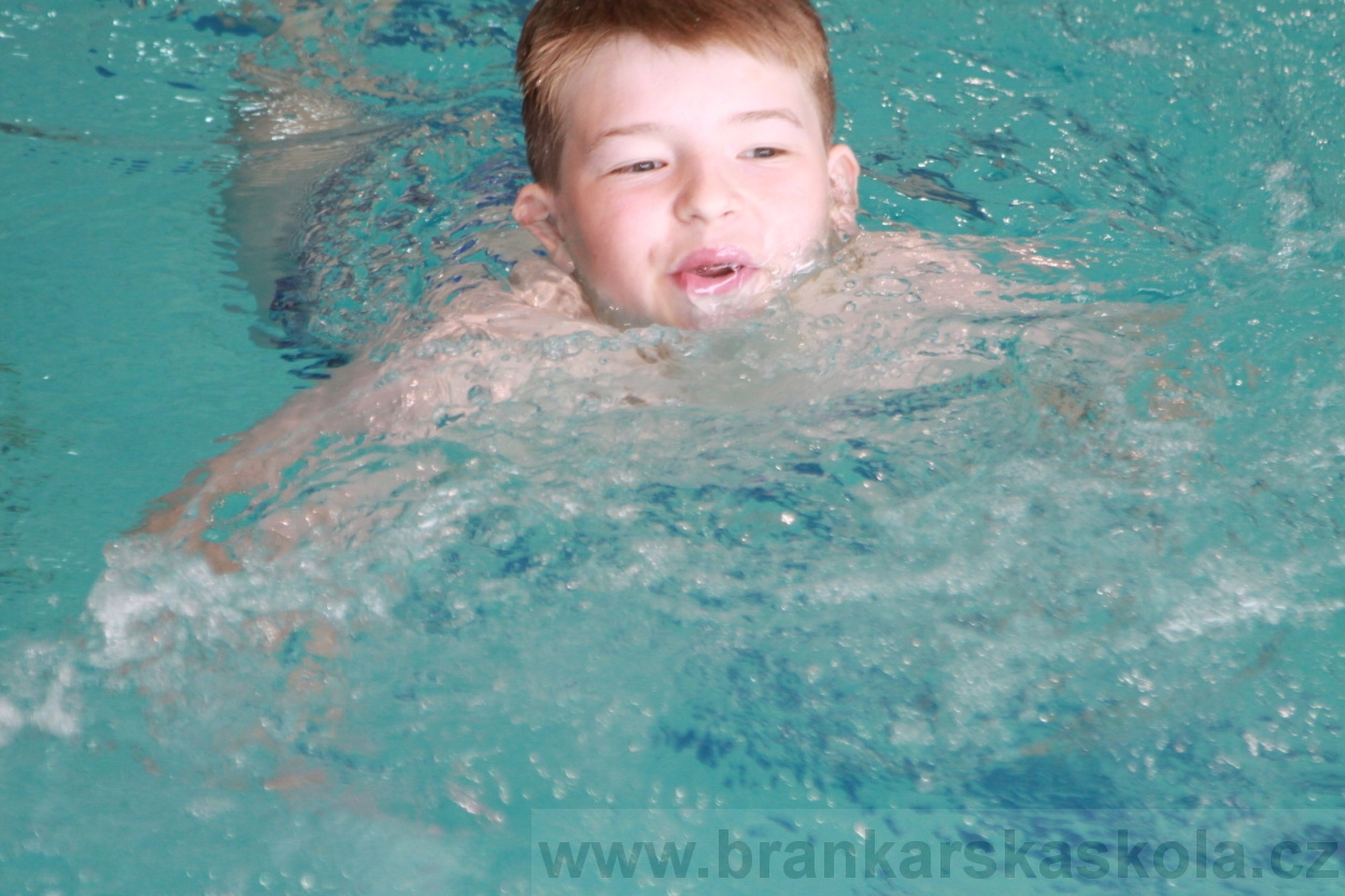 BFŠJCH - Léto 2019 - 5.7.2019